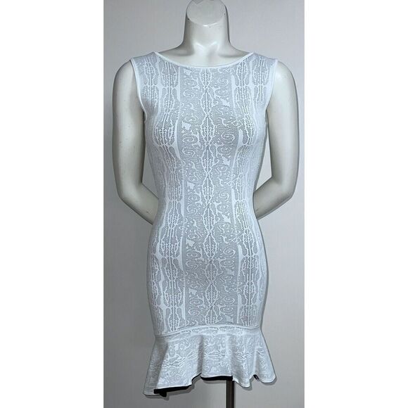 BCBG MAXAZRIA Faye Jacquard Dress ( Size XS) Self Contrast Lace Jacquard - Picture 1 of 8